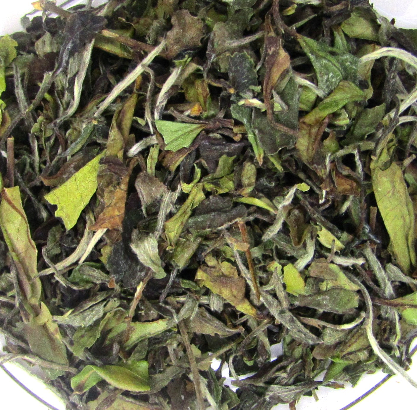 Pai Mu Tan